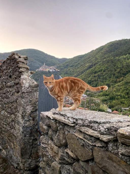 Iconic Italian Townhouse W Rooftop Terrace & Mountain View, 皮尼亚 外观 照片