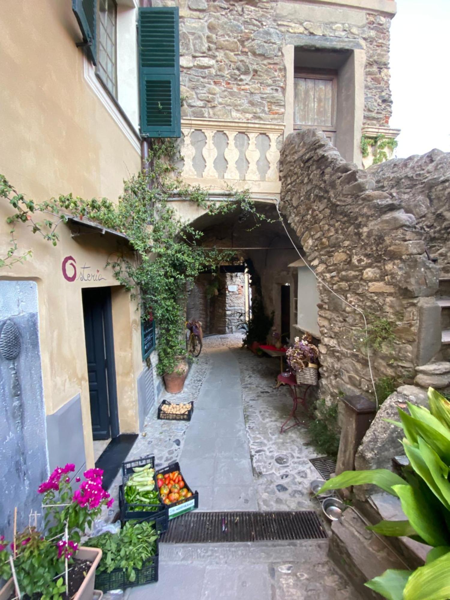Iconic Italian Townhouse W Rooftop Terrace & Mountain View, 皮尼亚 外观 照片