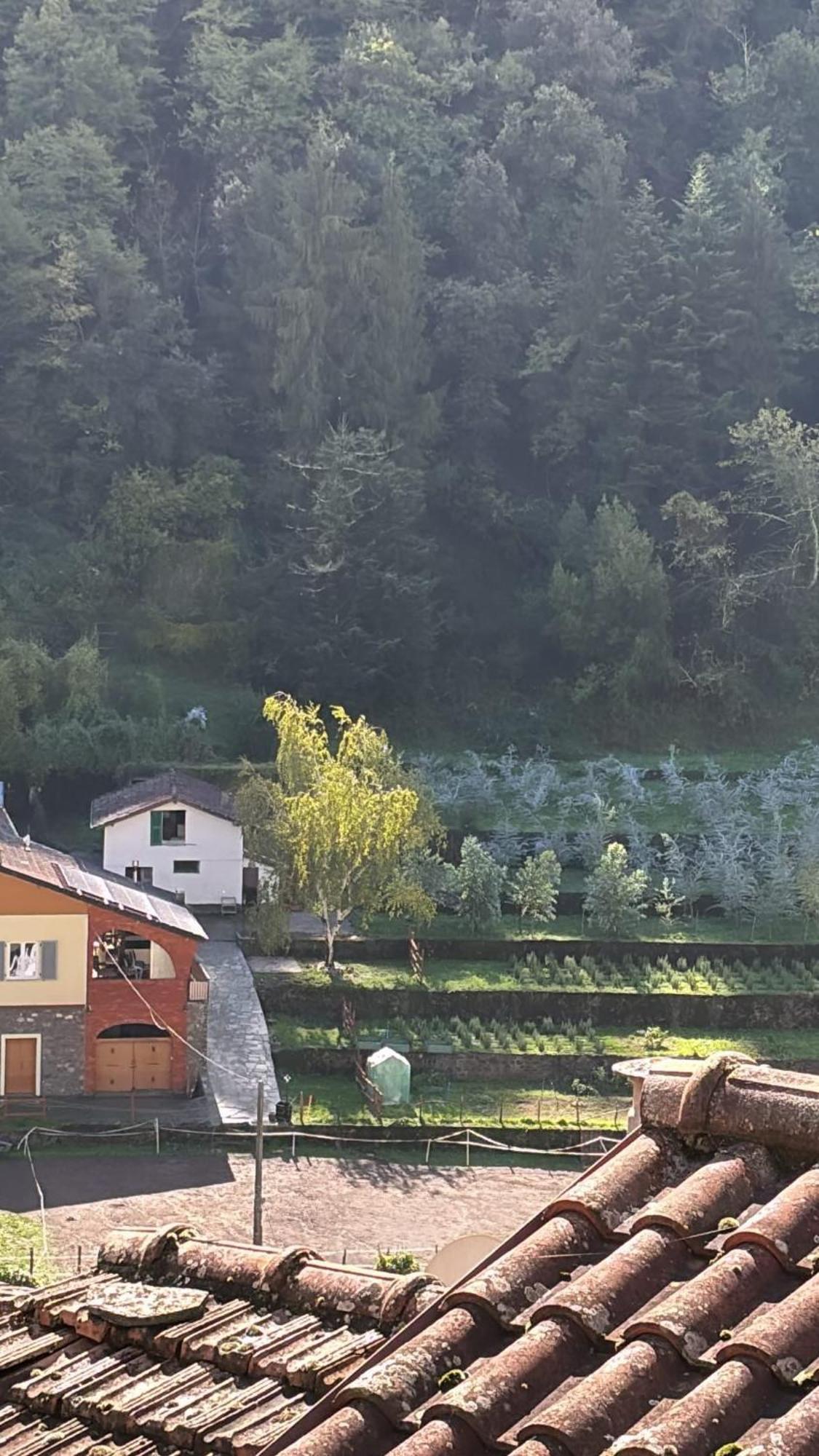 Iconic Italian Townhouse W Rooftop Terrace & Mountain View, 皮尼亚 外观 照片