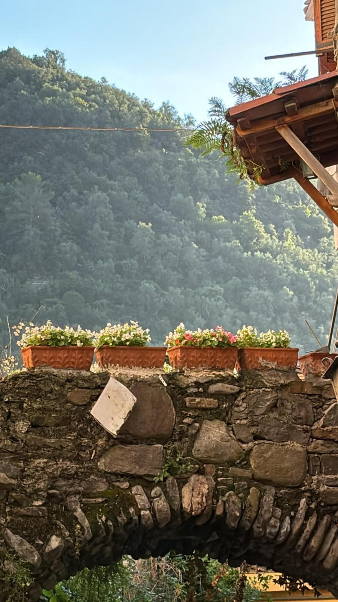 Iconic Italian Townhouse W Rooftop Terrace & Mountain View, 皮尼亚 外观 照片